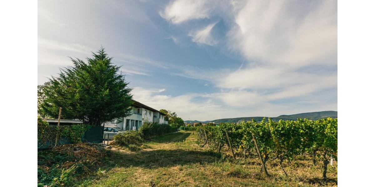 Demnächst frei! 4-Zimmer-Wohnung in Bad Dürkheim mit WBS! 4 zimmer