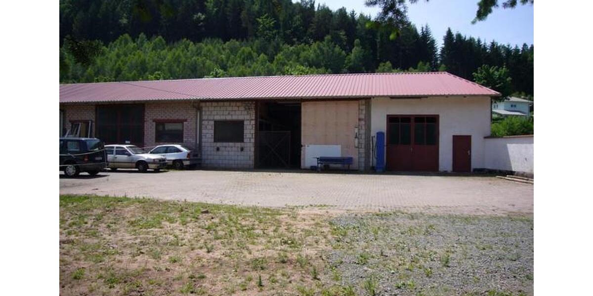 Halle (Lager, Produktion, Werkstatt) 100qm verkehrsgünstig in 66976 Rodalben zu vermieten zimmer