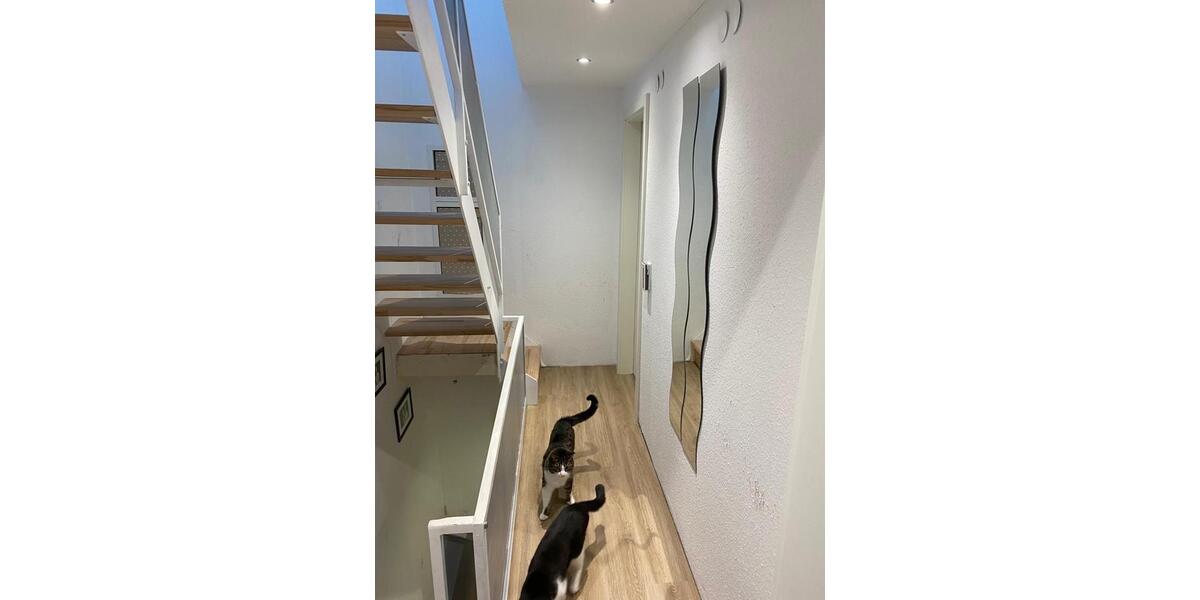 Reihenhaus Wolfstein - 5 Zimmer, 100 m&sup2;, 180.000&euro; | Angebot:24869456