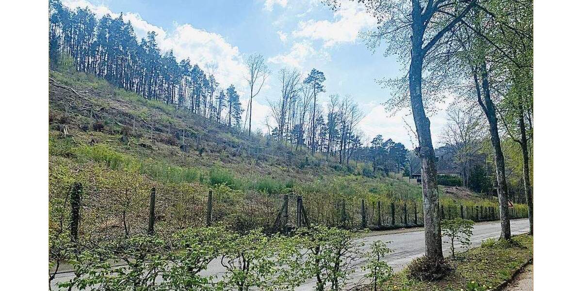 Grundstück Rodalben - 149.000&euro; | Angebot:24595212