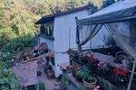 Einfamilienhaus Bad Dürkheim - 5 Zimmer, 150 m&sup2;, 450.000&euro; | Angebot:27071052