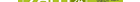 LKW-Fahrer (m/w/d)