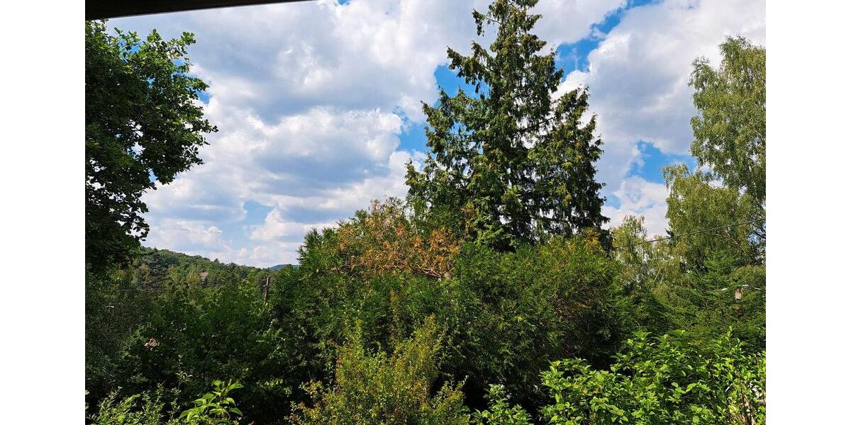 Einfamilienhaus Wachenheim an der Weinstraße - 80.000&euro; | Angebot:27104318
