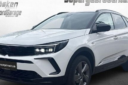 Opel Grandland (X) 26.227 km 22.900 &euro; Kaiserslautern 67663