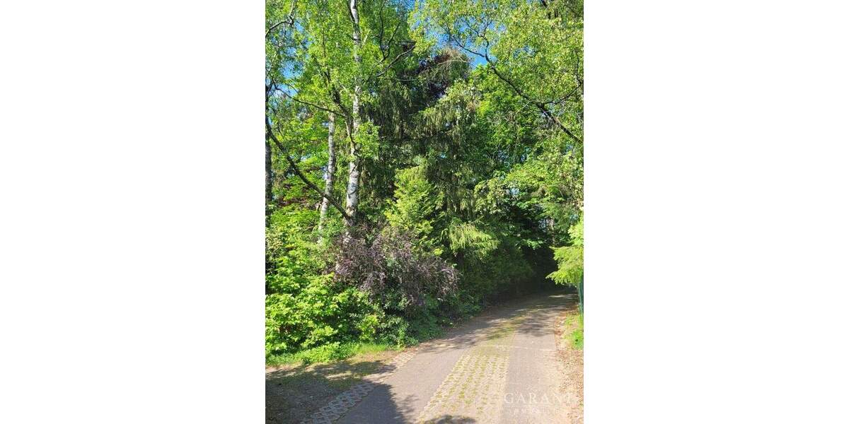 Grundstück Trippstadt - 130.000&euro; | Angebot:24532818