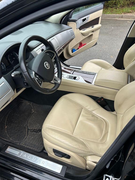 XF