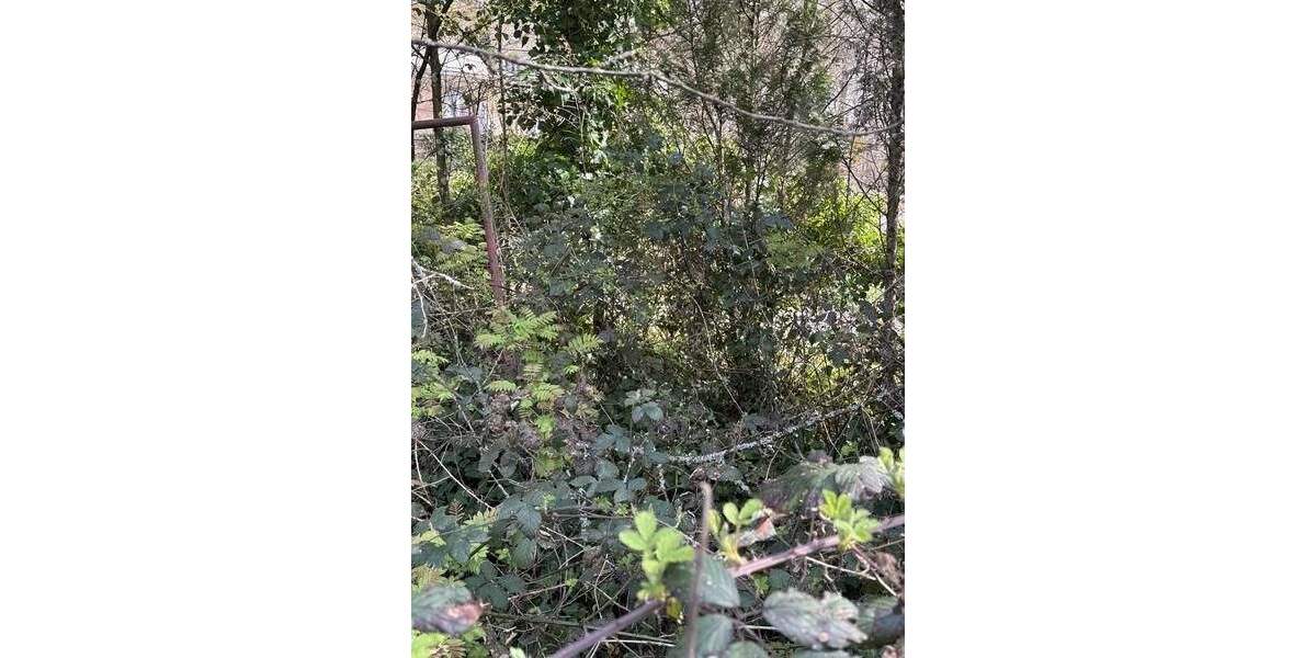 Grundstück Kaiserslautern Dansenberg - 112.500&euro; | Angebot:25912952