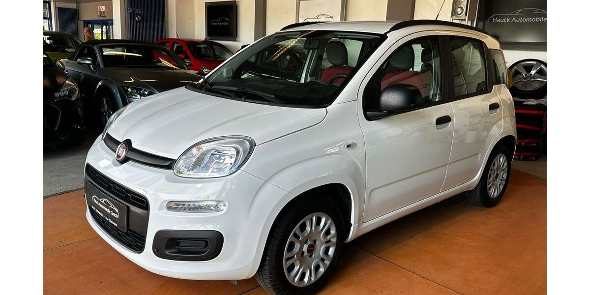 Fiat Panda 73.665 km 6.490 € Bad Dürkheim 67098