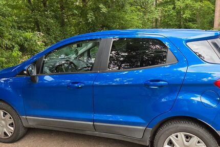 Ford EcoSport 45.541 km 12.500 &euro; Carlsberg 67316