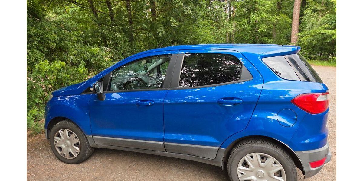 Ford EcoSport 45.541 km 12.500 &euro; Carlsberg 67316