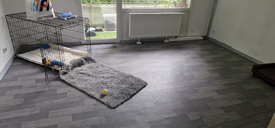 Etagenwohnung Kusel - 3 Zimmer, 80 m&sup2;, 570&euro; | Angebot:26090616